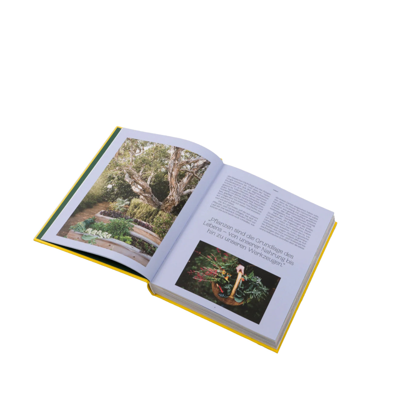 Gestalten: Der Garten Eden – Lebendige Gärten in der Stadt und auf dem Land - Allike Store