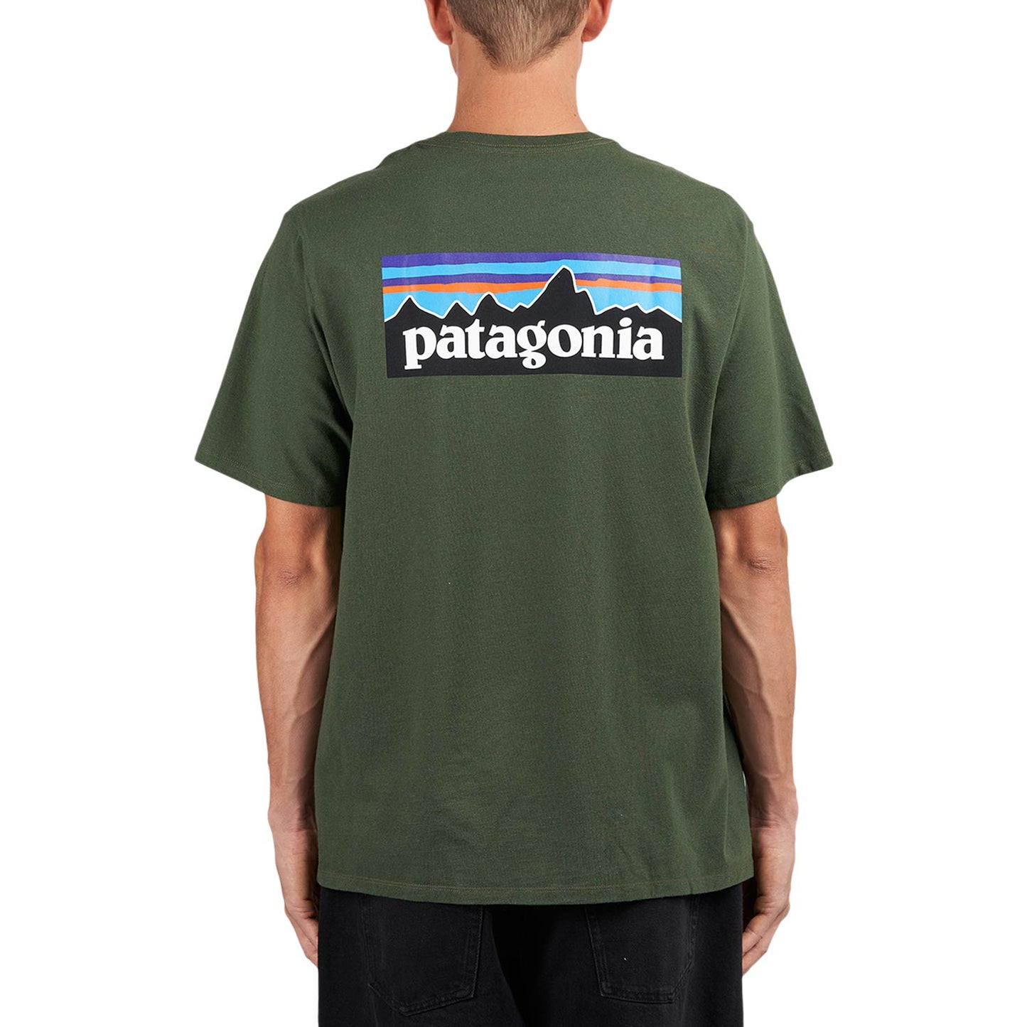 Patagonia P-6 Logo Responsibili-Tee (Grün) - Allike Store