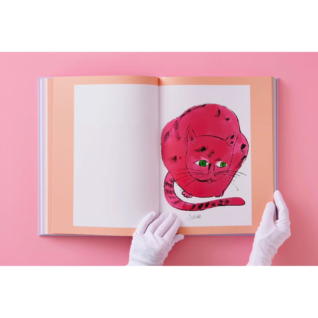 Taschen: Andy Warhol – Seven Illustrated Books 1952–1959 - Allike Store