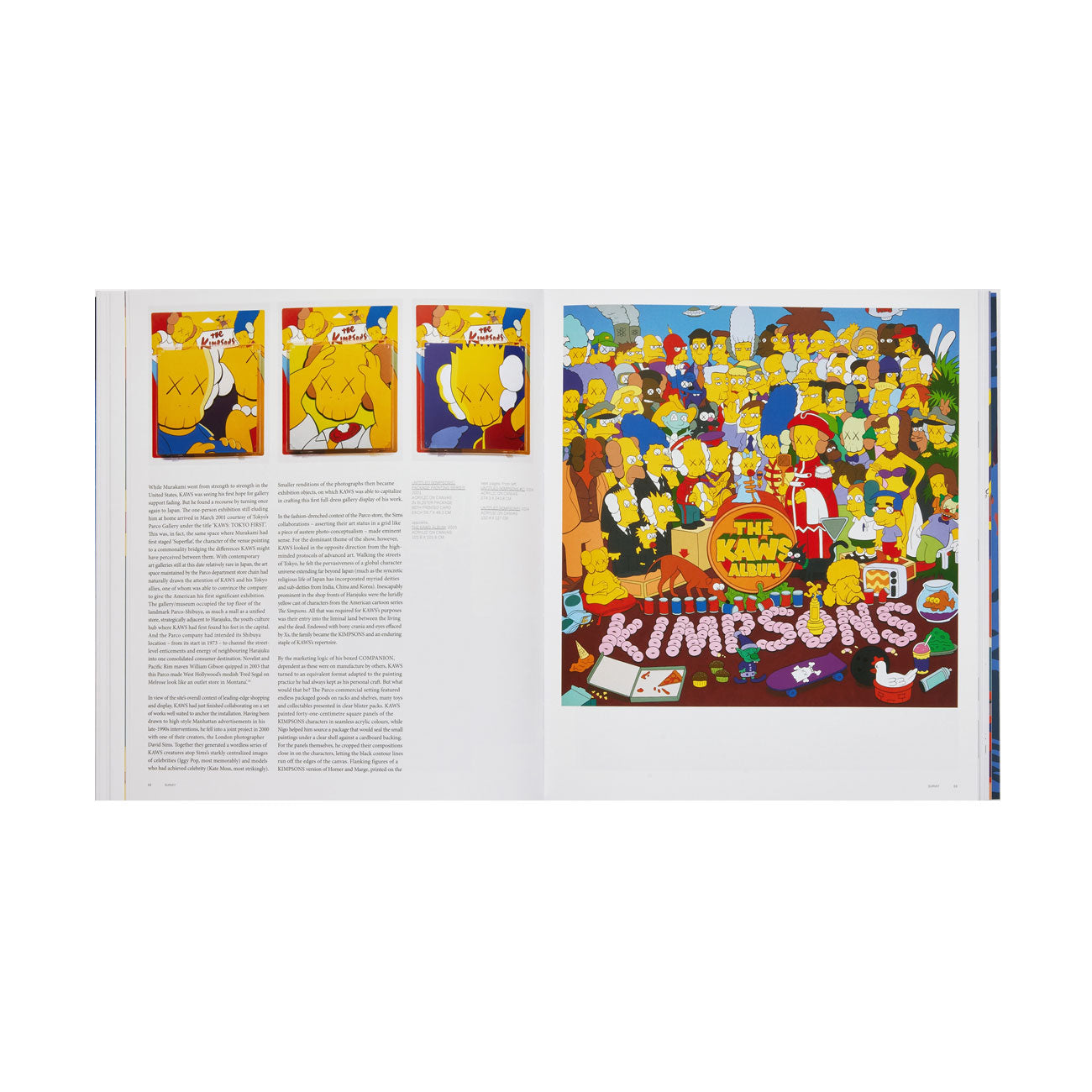 Phaidon: Kaws - Allike Store