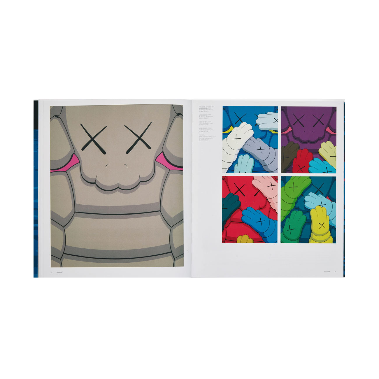 Phaidon: Kaws - Allike Store