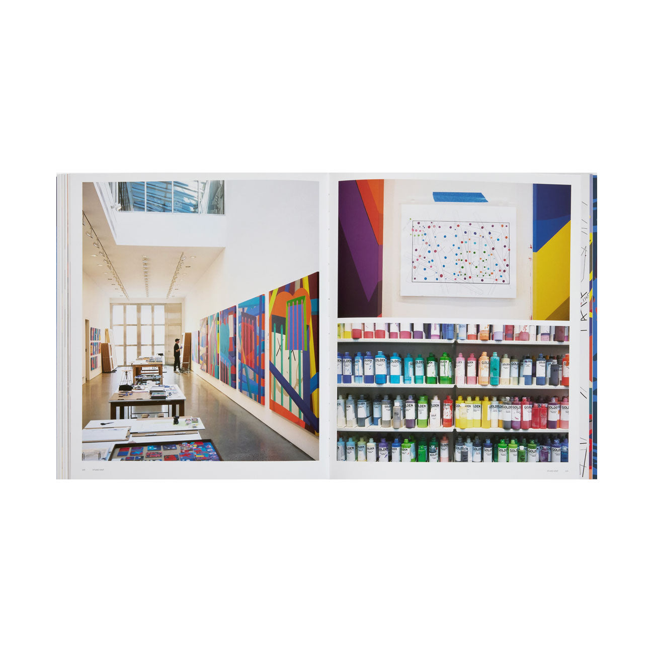 Phaidon: Kaws - Allike Store