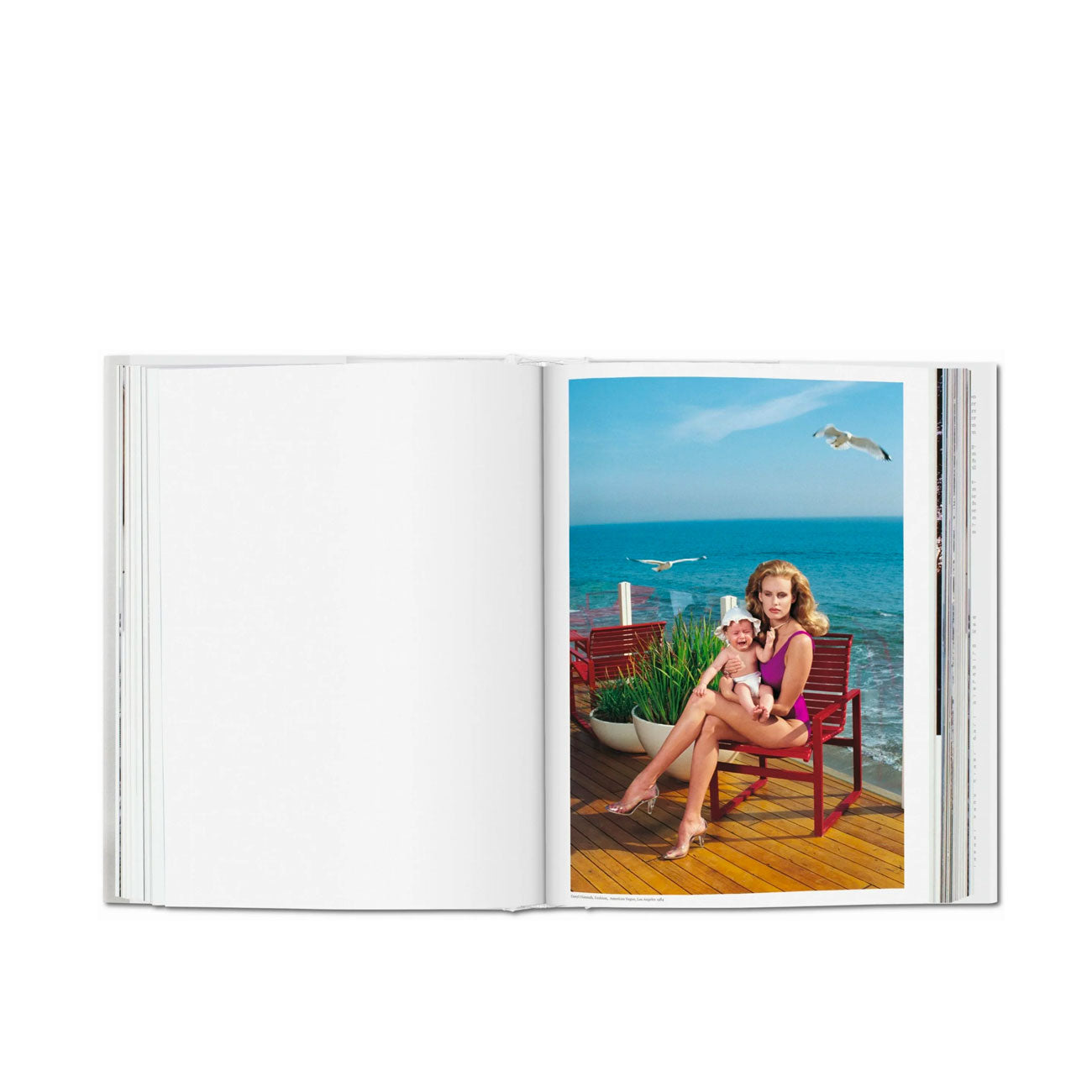 Taschen: Helmut Newton. SUMO. 20th Anniversary Edition XL - Allike Store