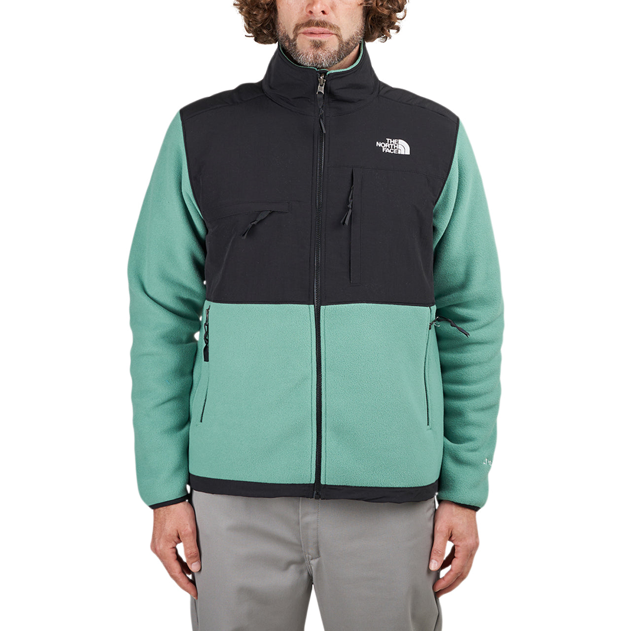 The North Face Denali Jacket (Schwarz / Grün) - Allike Store