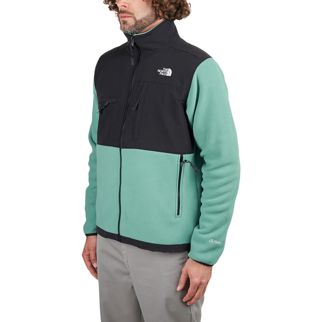 The North Face Denali Jacket (Schwarz / Grün) - Allike Store