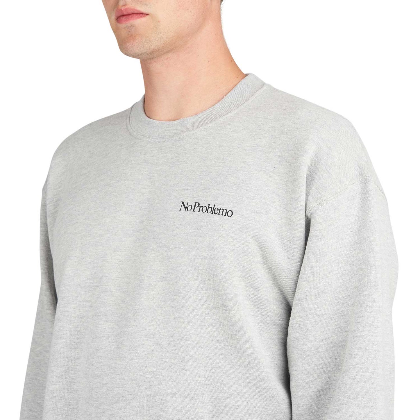 No Problemo Crew Neck Sweat (Grau) - Allike Store