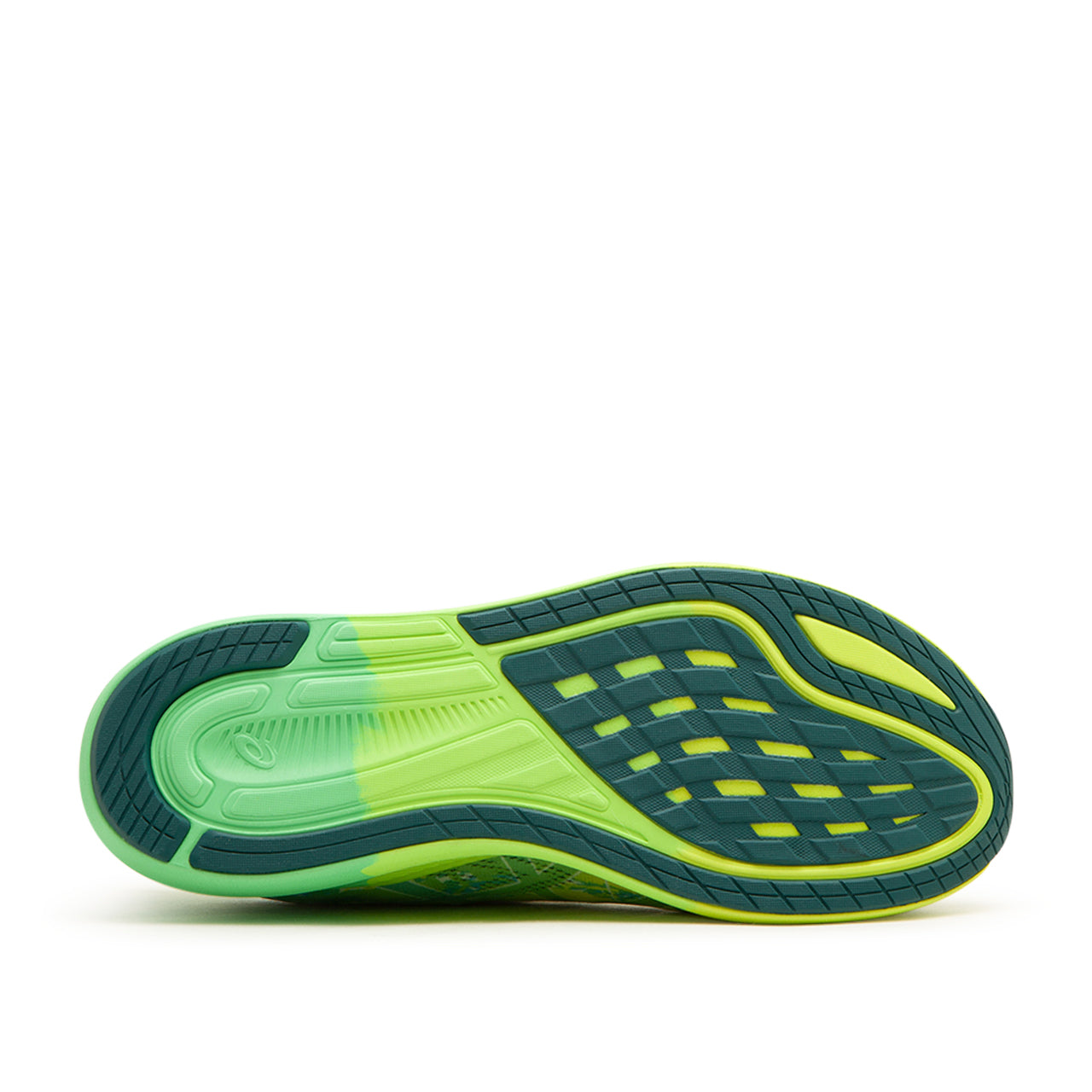 Asics Noosa Tri 14 (Grün / Multi) - Allike Store