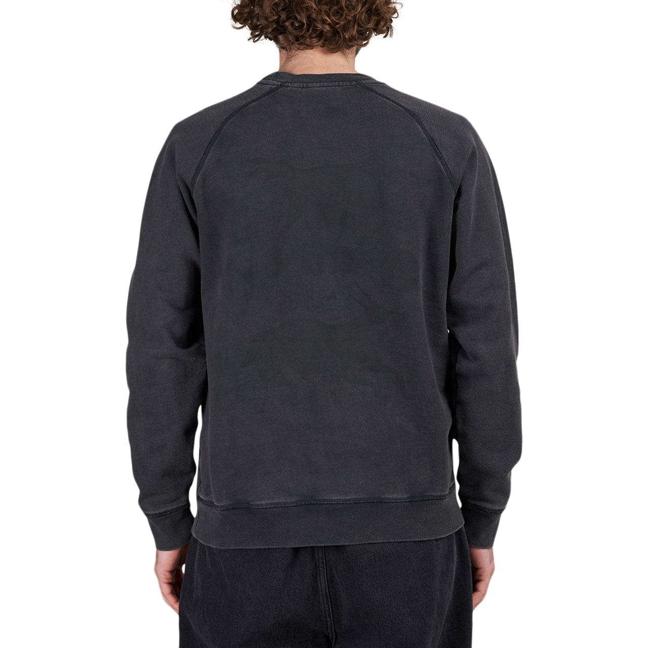 Parra Swimming With Pets Crew Neck Sweatshirt (Grau) - Allike Store