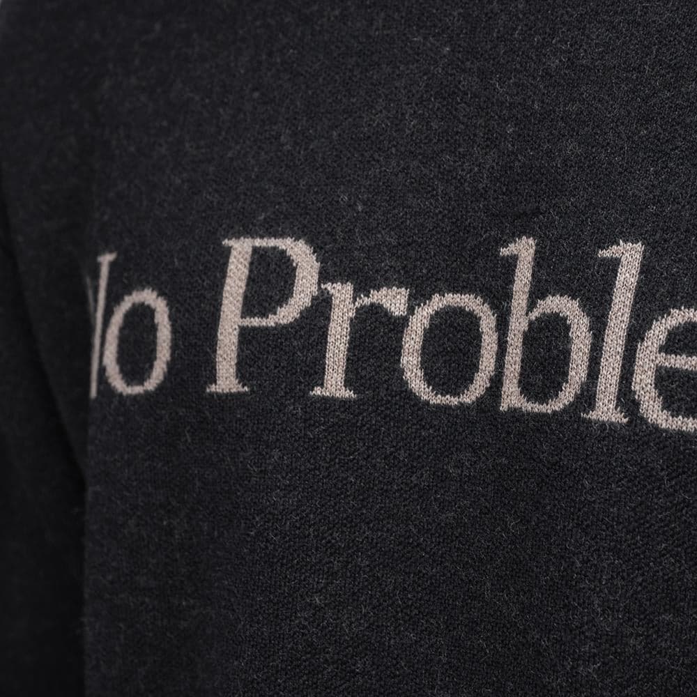 Aries No Problemo Jumper (Schwarz) - Allike Store