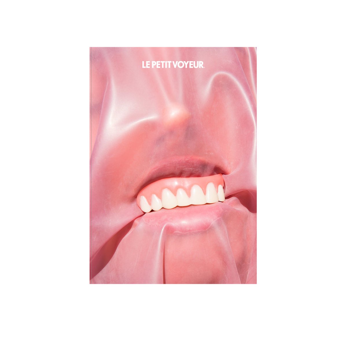 Le Petit Voyeur Vol 7 (Special Edition) - Allike Store