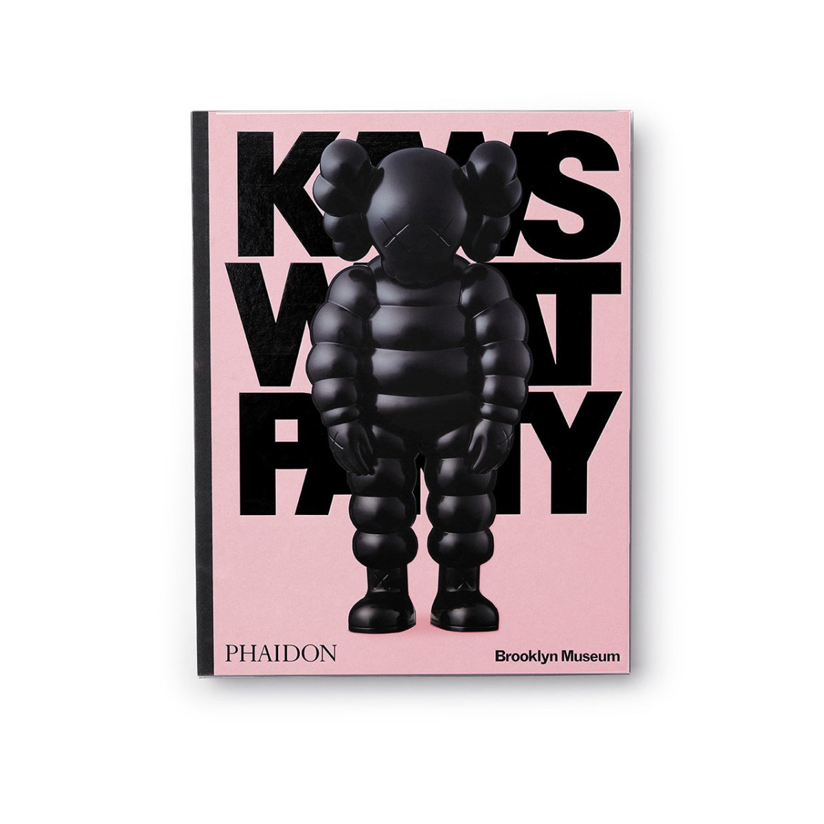 Phaidon: Kaws What a Party - Allike Store