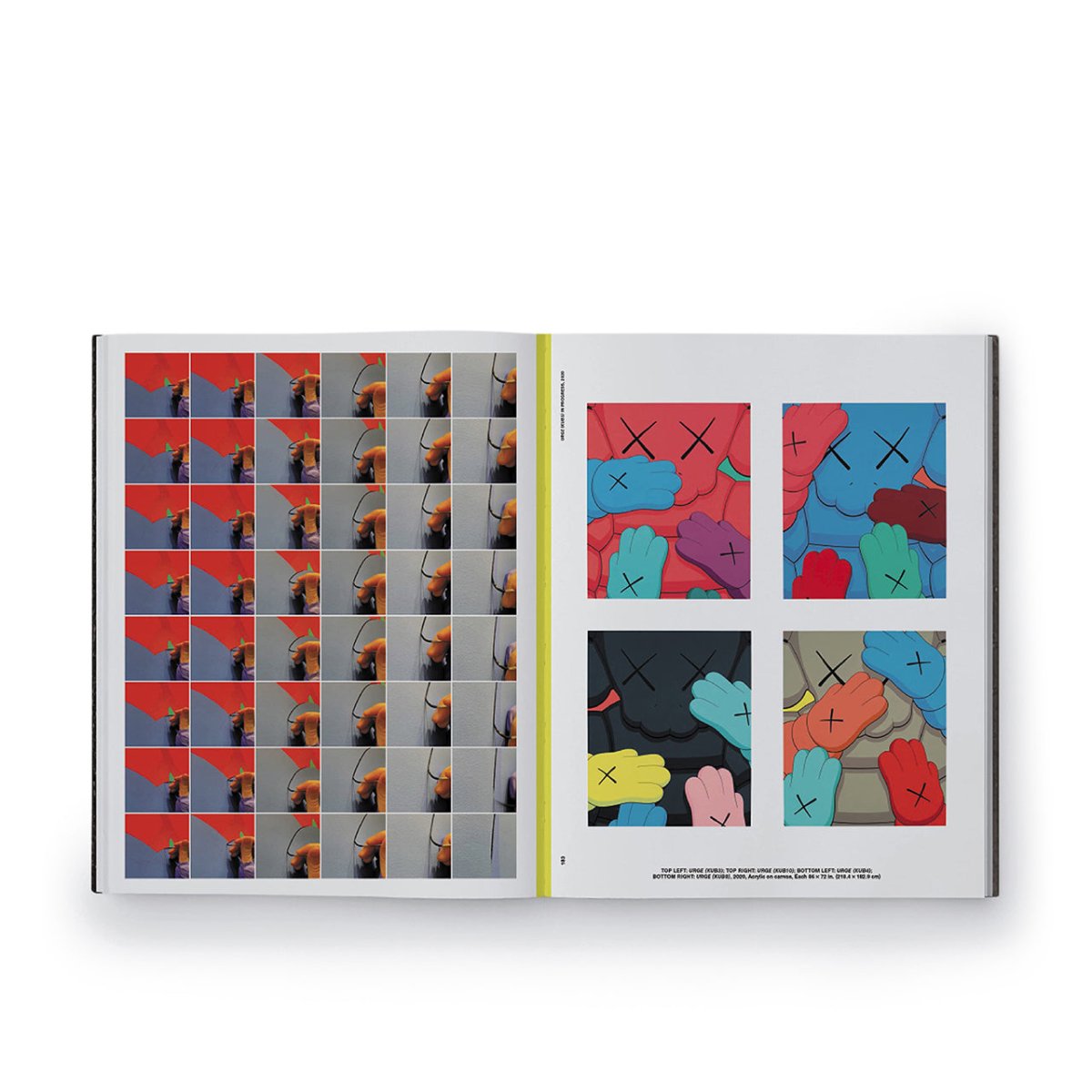 Phaidon: Kaws What a Party - Allike Store