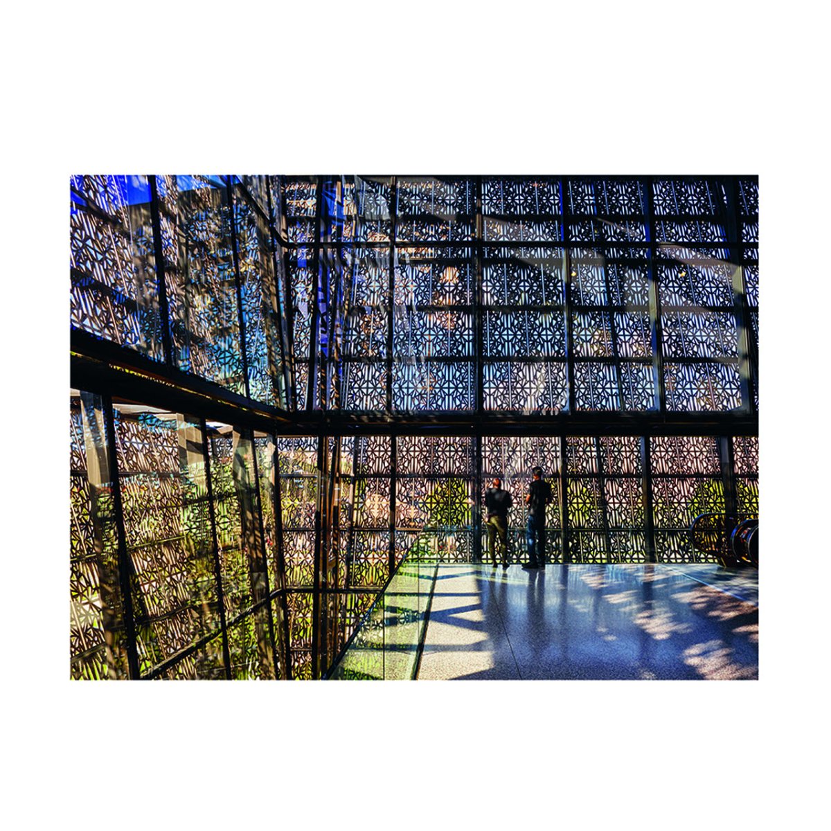 Phaidon: Radical Architecture Of The Future - Allike Store