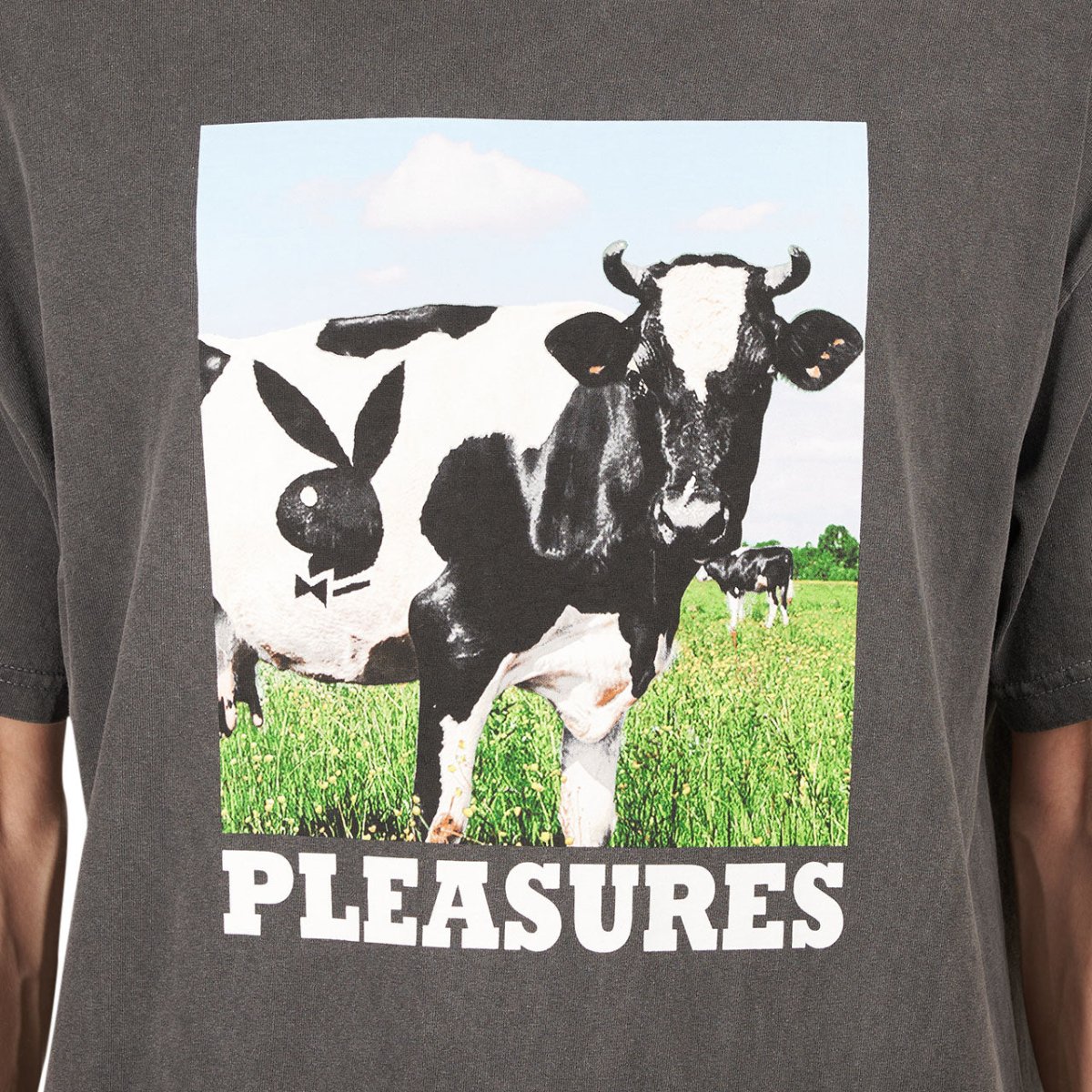 Pleasures x Playboy Moo T-Shirt (Grau) - Allike Store