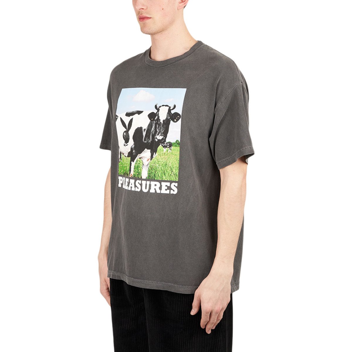 Pleasures x Playboy Moo T-Shirt (Grau) - Allike Store