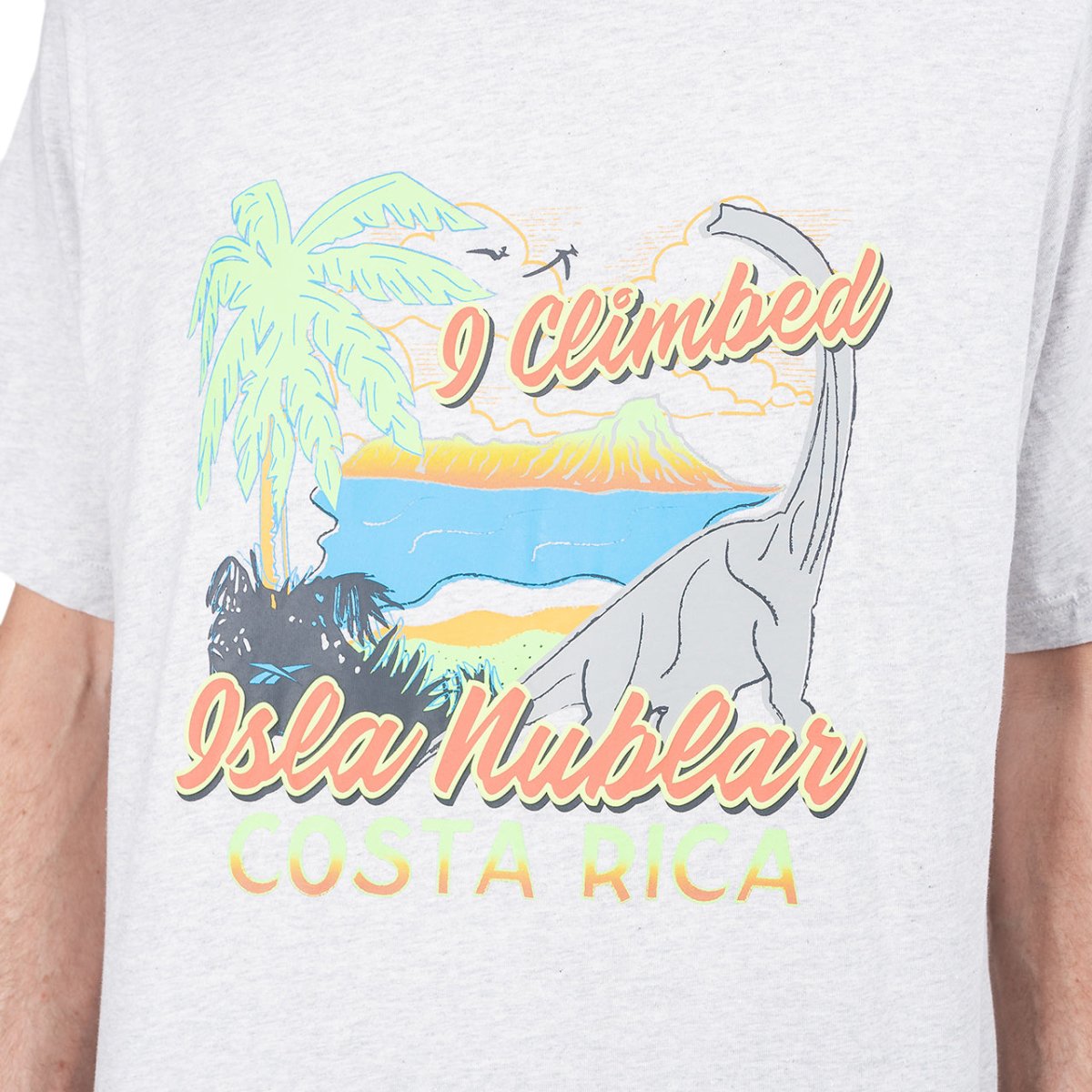 Reebok x Jurassic Park SS Tee (Grau) - Allike Store
