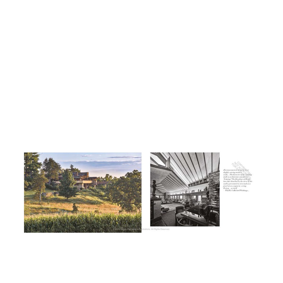 Rizzoli 50 Lessons to Learn from Frank Lloyd Wright  - Allike Store