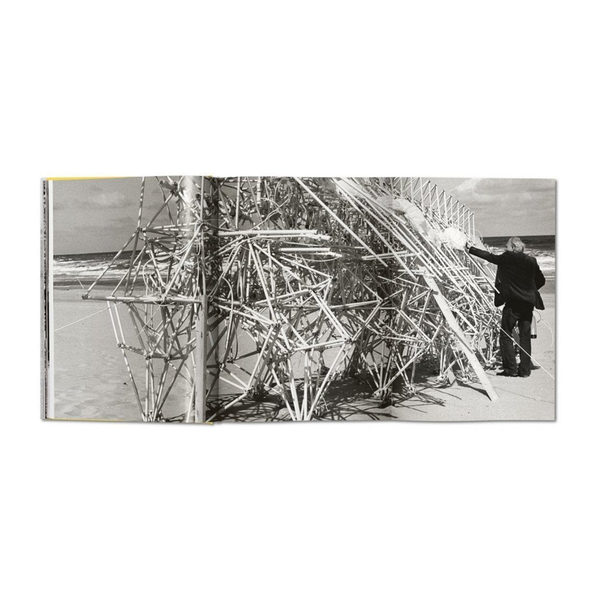 Taschen Strandbeest The Dream Machines of Theo Jansen - Allike Store