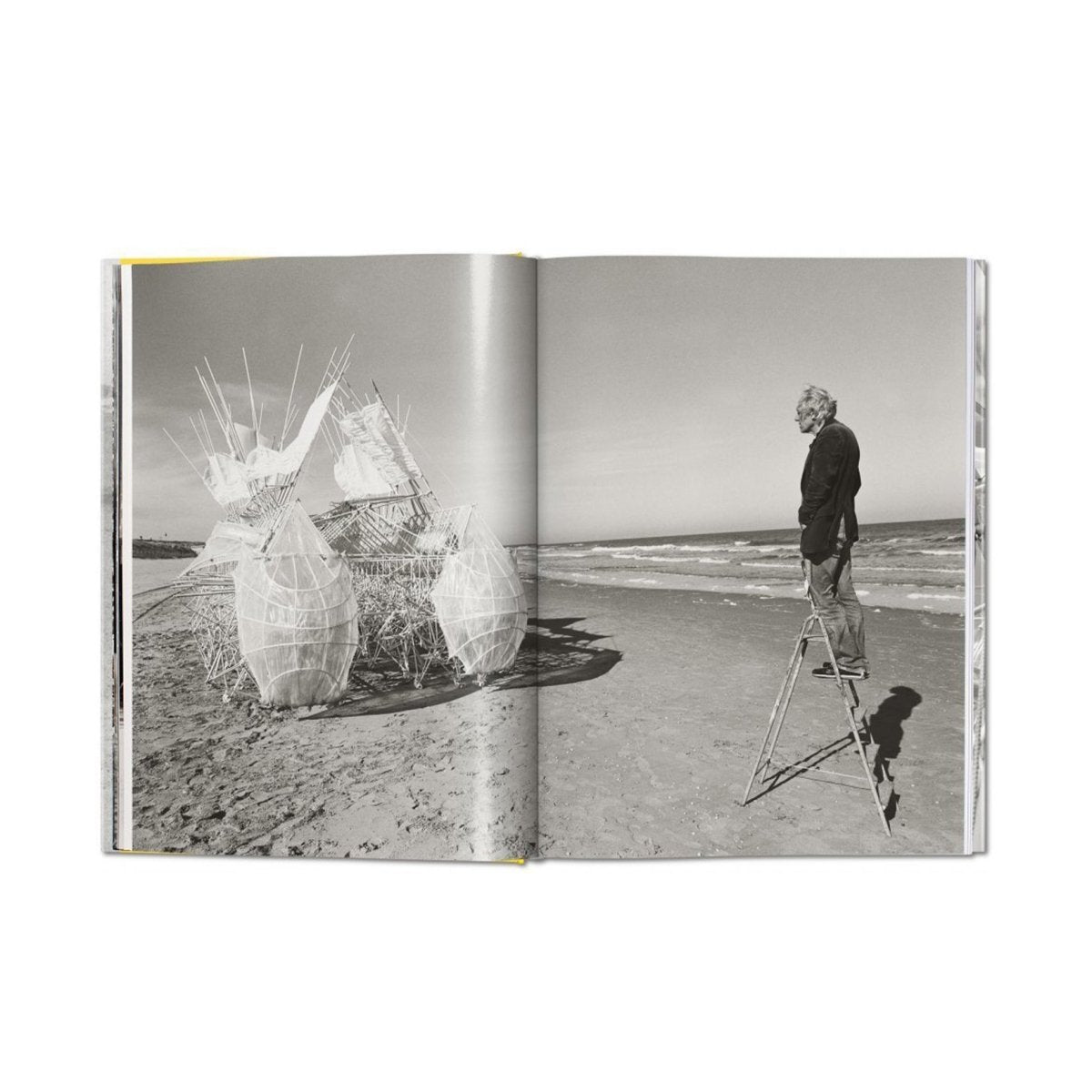 Taschen Strandbeest The Dream Machines of Theo Jansen - Allike Store