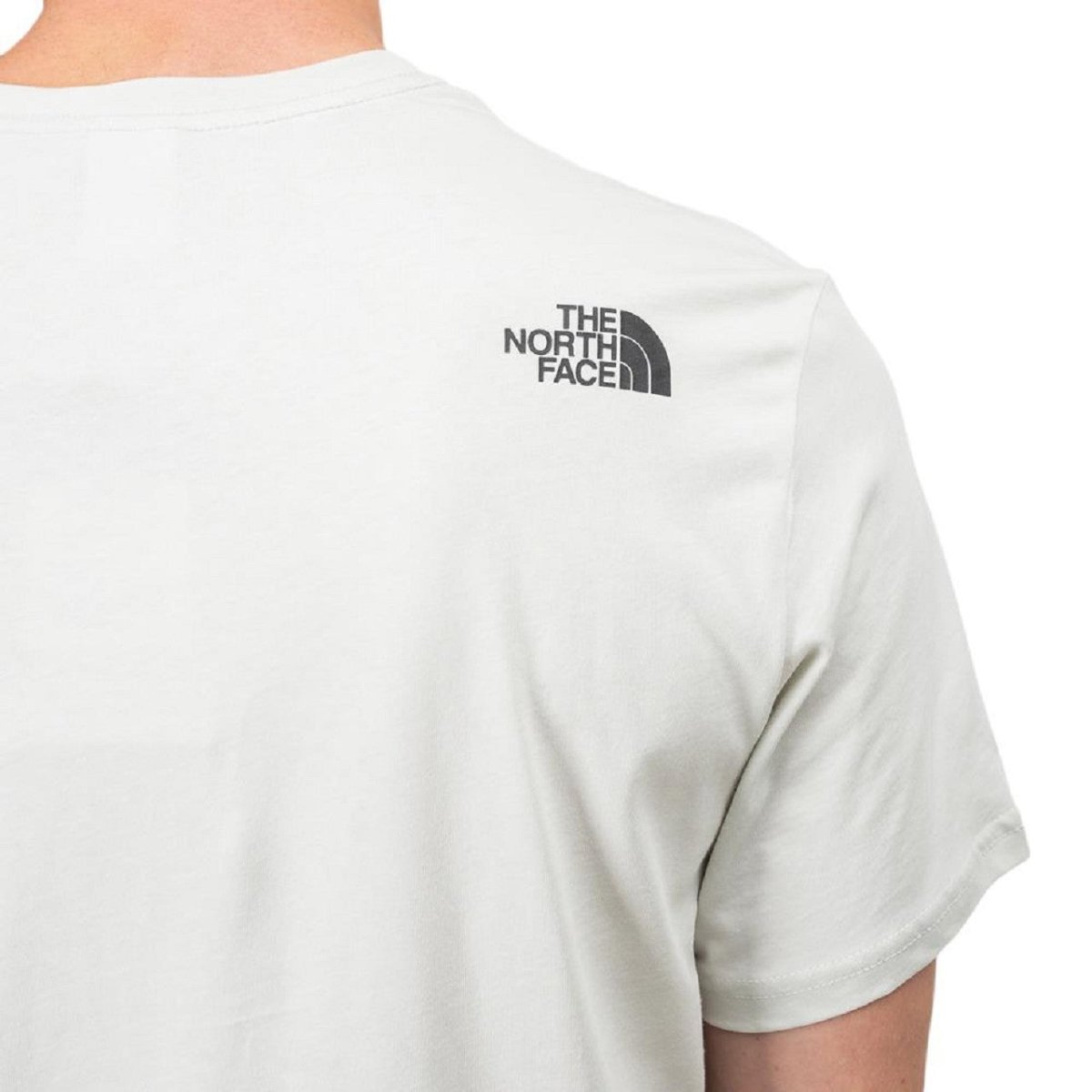 The North Face Blackbox Logo Tee (Grau) - Allike Store