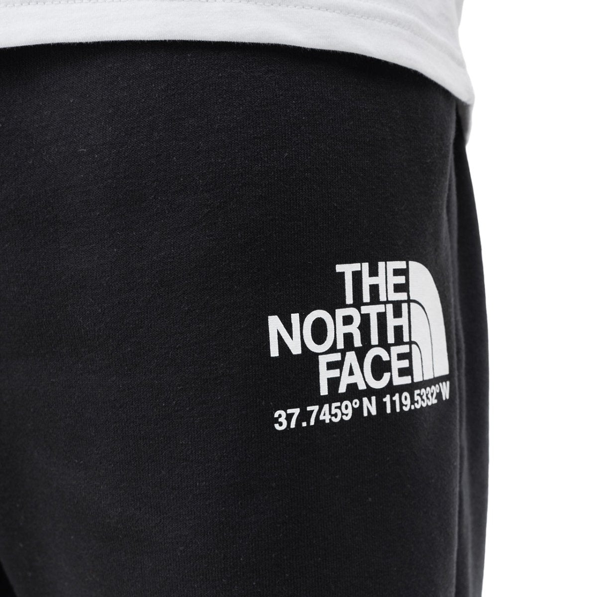 The North Face Coordinates Pant (Schwarz) - Allike Store