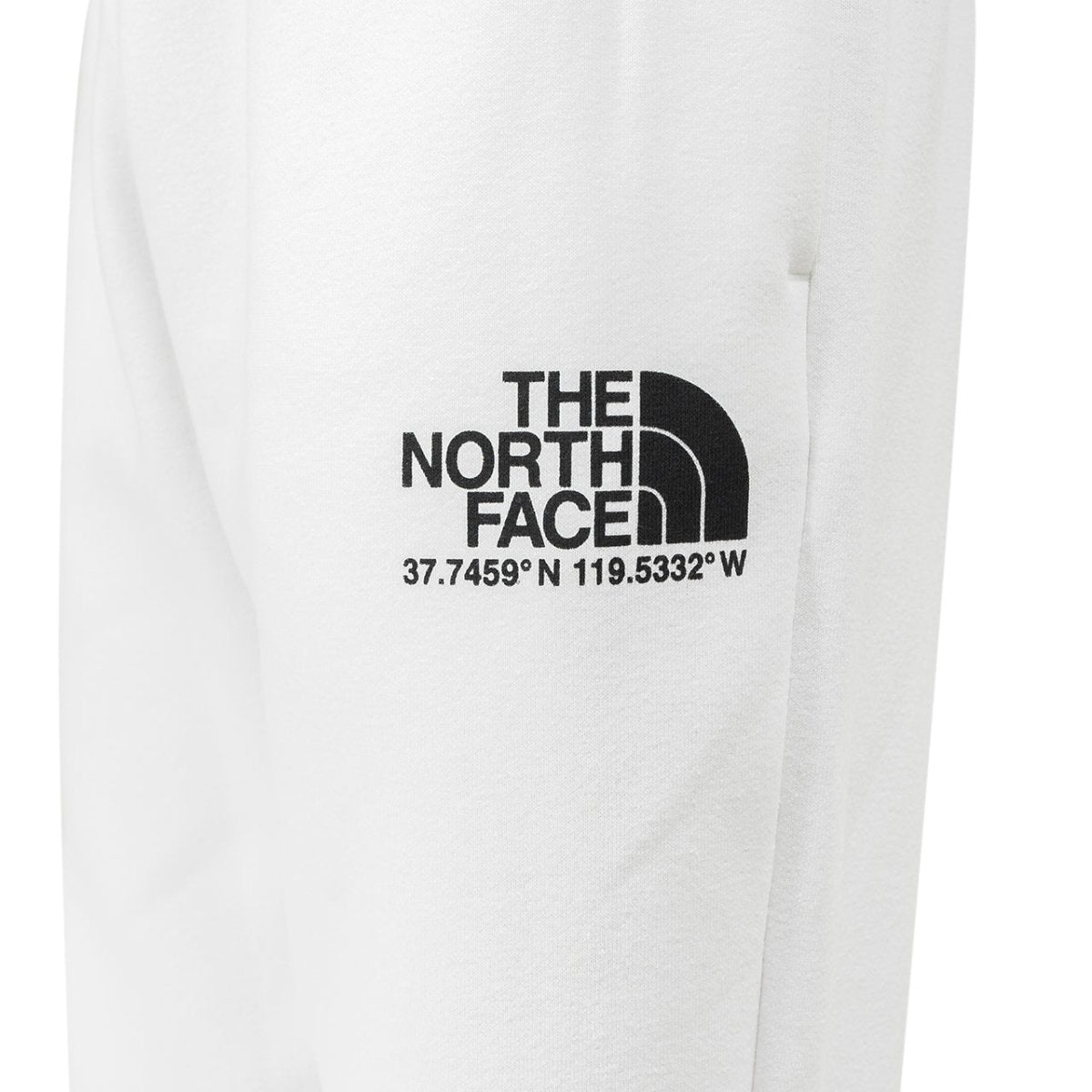 The North Face Coordinates Pants (Weiß) - Allike Store