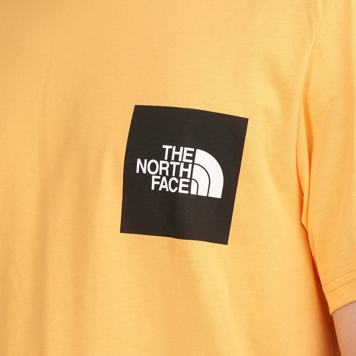 The North Face Galahm Graphic T-Shirt (Orange) - Allike Store