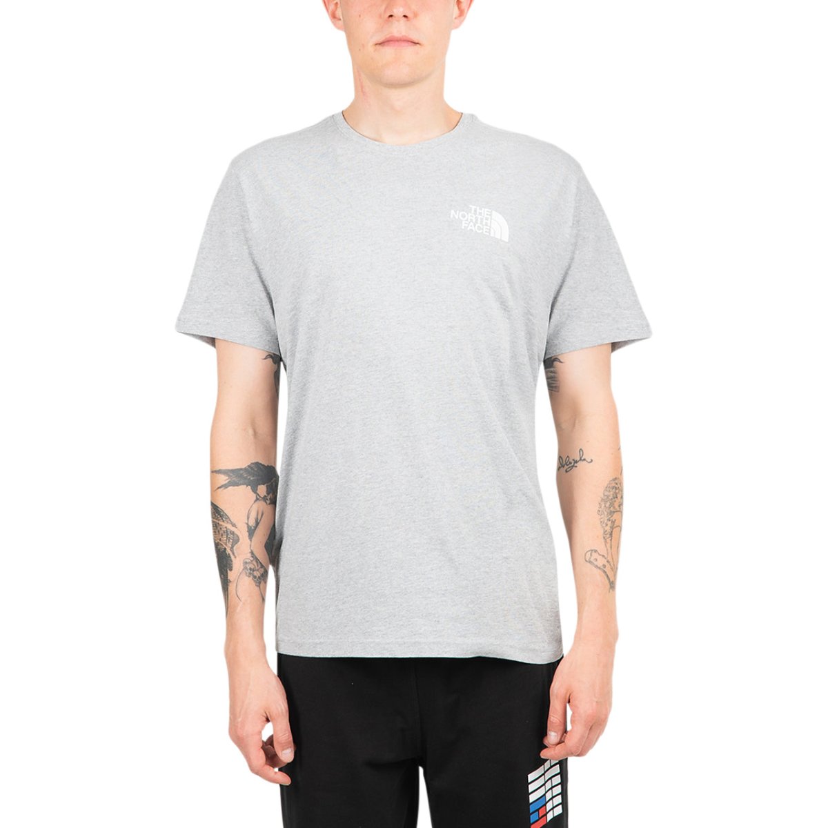 The North Face International Collection Climb GR T-Shirt (Hellgrau) - Allike Store