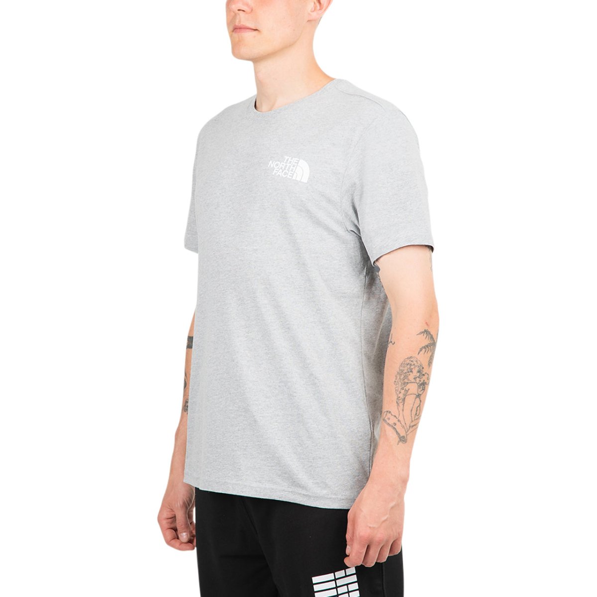 The North Face International Collection Climb GR T-Shirt (Hellgrau) - Allike Store