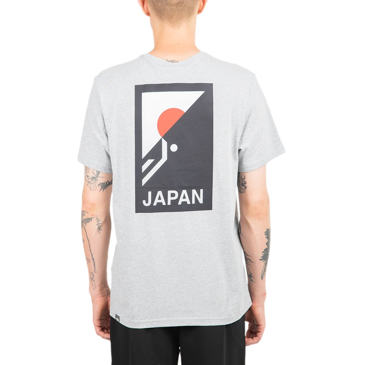 The North Face International Collection Climb GR T-Shirt (Hellgrau) - Allike Store