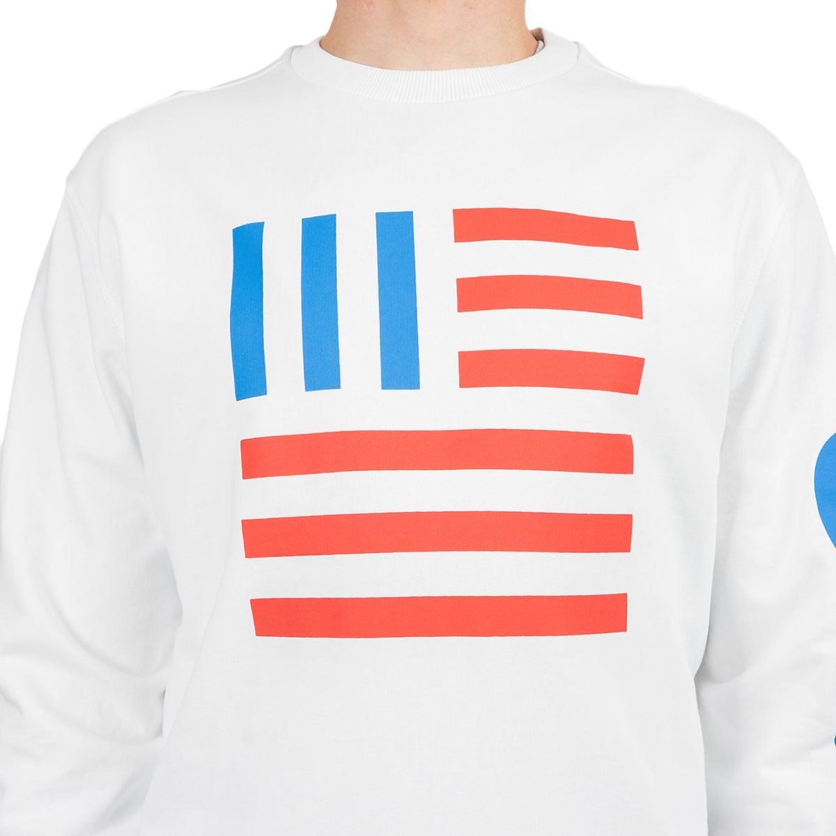 The North Face International Collection Crewneck (Weiß) - Allike Store