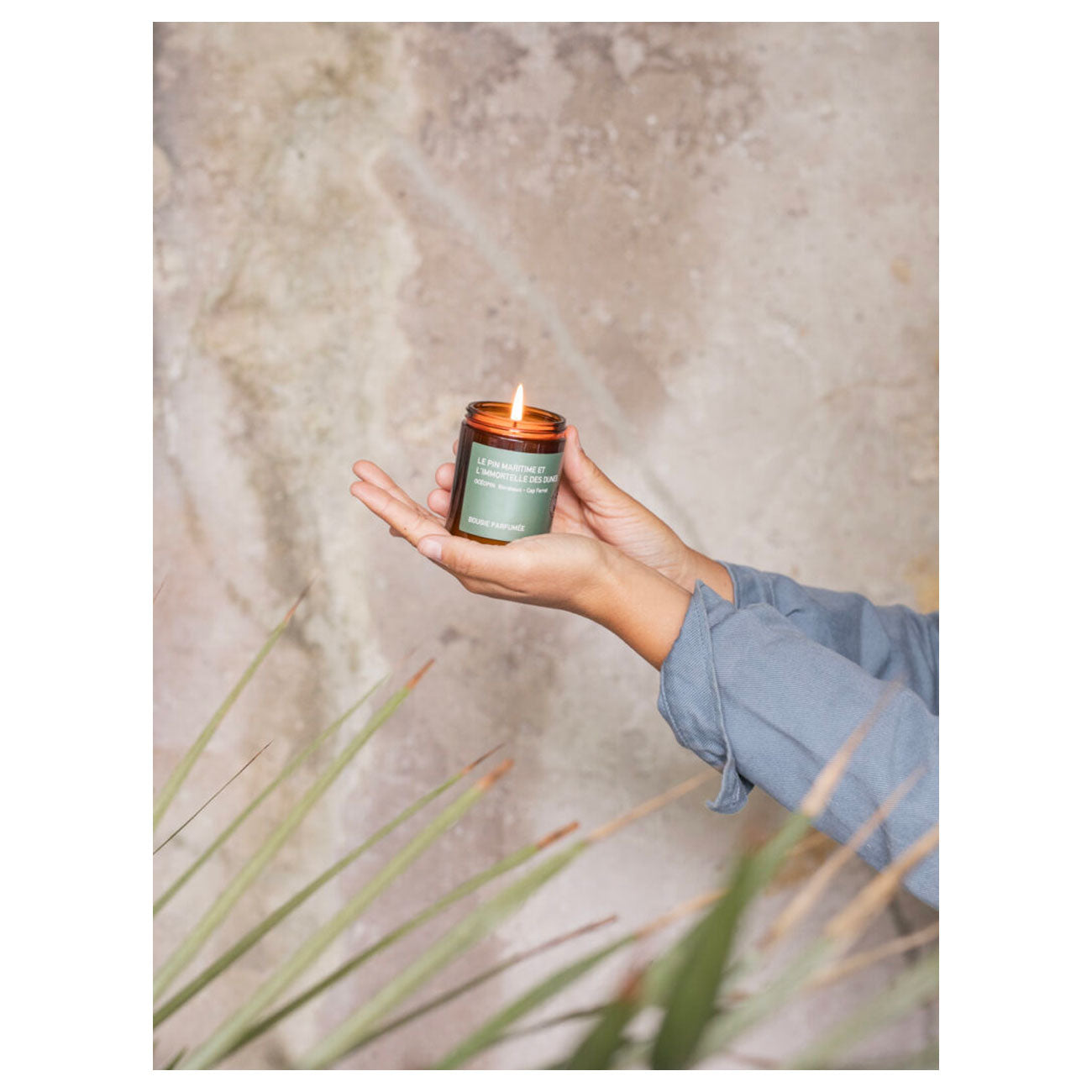 Océopin Scented Candle (50g)  - Allike Store