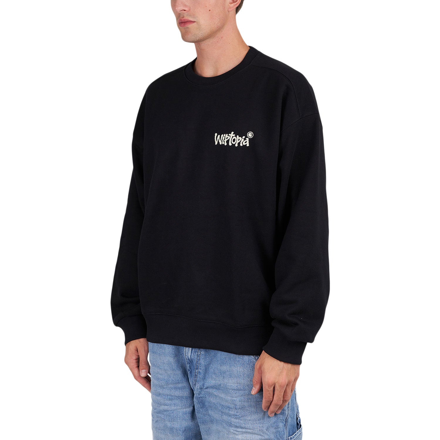 Carhartt WIP Wiptopia Sweat (Schwarz) - Allike Store