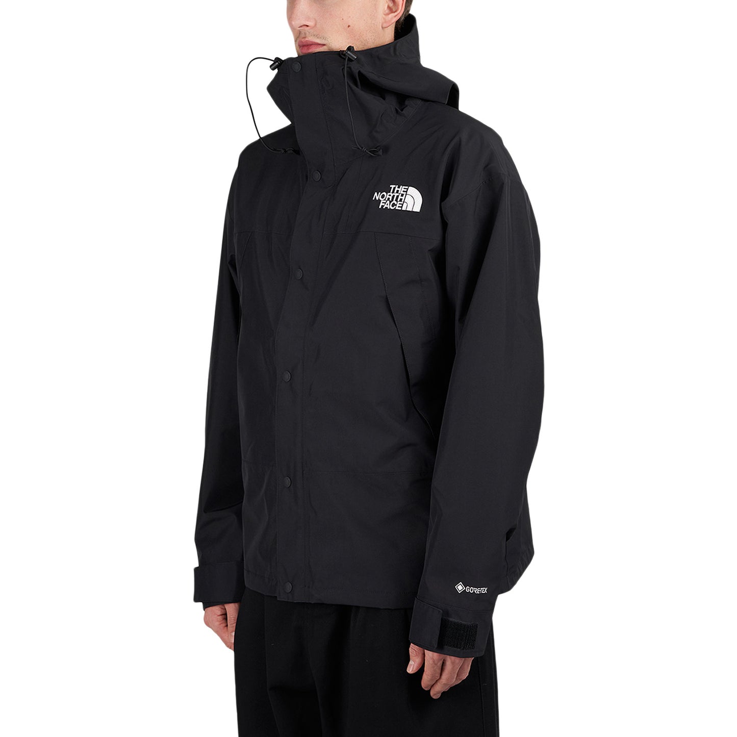 The North Face GTX Mountain Jacket (Schwarz) - Allike Store