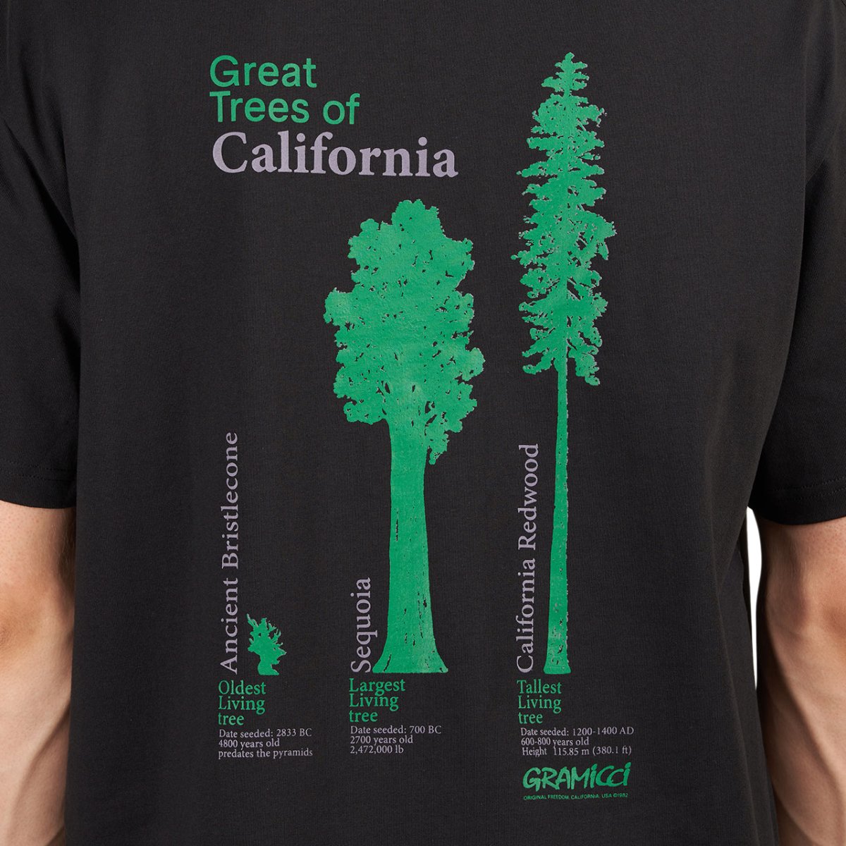 Gramicci Cali Trees Tee (Schwarz)  - Allike Store