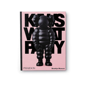 Phaidon: Kaws What a Party  - Allike Store