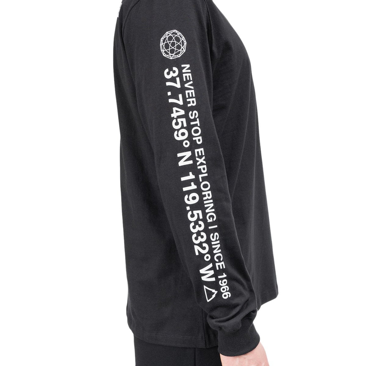 The North Face Coordinates Longsleeve (Schwarz)  - Allike Store