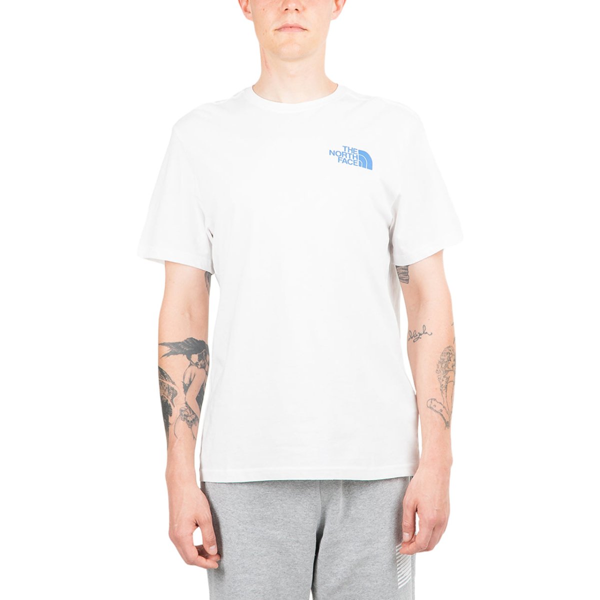 The North Face International Collection Climb GR T-Shirt (Weiß)  - Allike Store