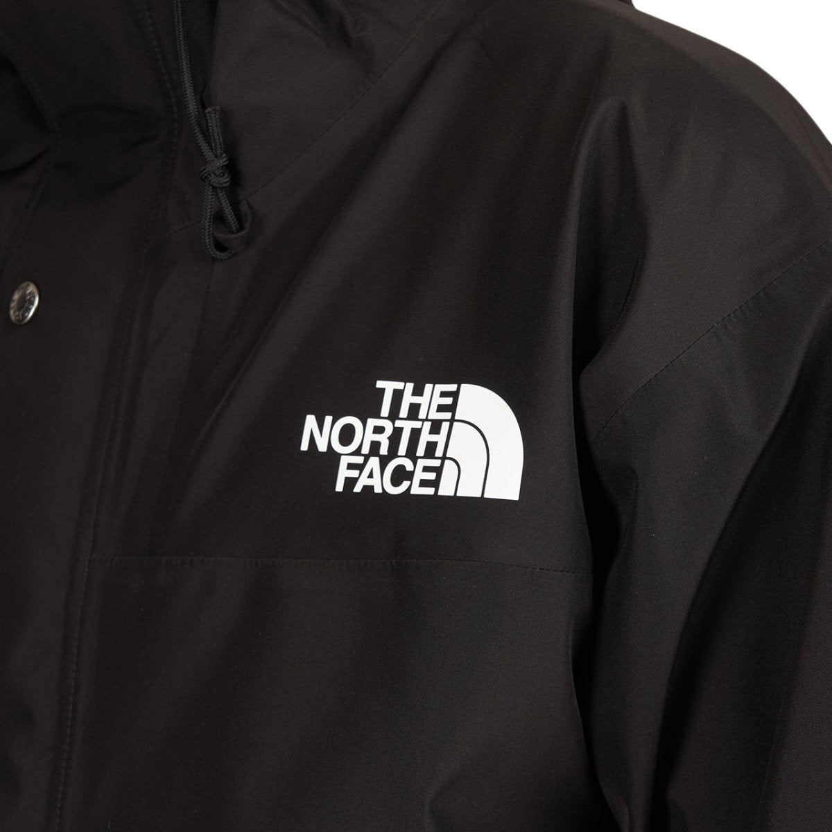 The North Face Retro 1986 Futurelight Mountain Jacket (Schwarz)  - Allike Store