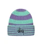 Stüssy Striped Big Basic Beanie (Grün / Lila)