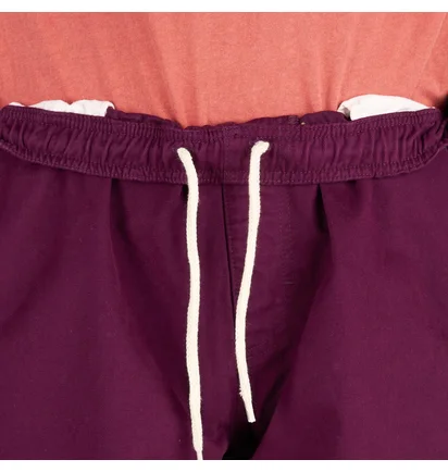 Stüssy Brushed Beach Short (Pflaume)