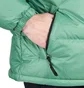 The North Face 1996 Retro Nuptse Jacket (Grün / Schwarz)