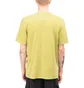Stüssy Rolling TV Pigment Dyed T-Shirt (Grün)