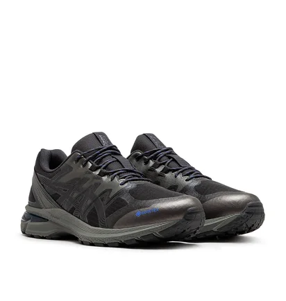 Asics Gel-Terrain GTX (Grau)