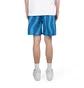 by Parra Aqua Weed Waves Swim Shorts (Blau / Petrol)