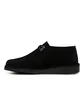 Clarks Desert Treck (Schwarz)