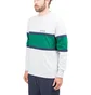 Aimé Leon Dore Multi Stripe Longsleeve (Grau / Grün)
