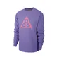 Nike ACG Logo Longsleeve (Lila / Pink)