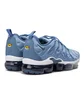 Nike Air VaporMax Plus (Blau / Grau)