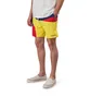 Aimé Leon Dore Color Blocked Swim Trunks (Blau)